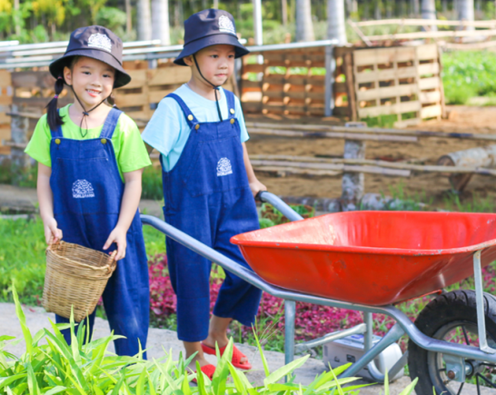 Khám phá Khu Sinh thái Giáo dục VECO tại Học viện Nông nghiệp Việt Nam