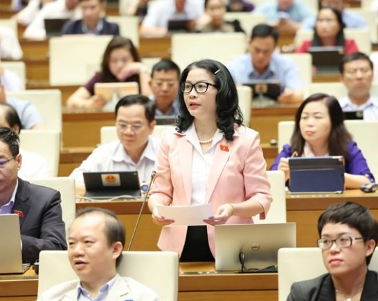 Đóng góp nổi bật của đại biểu nhân dân Nguyễn Thị Lan vào các kỳ họp lịch sử của Quốc hội Việt Nam