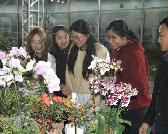 Đưa nông sản Việt vào không gian số