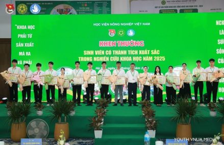 Thành tích nghiên cứu khoa học của sinh viên Khoa Công nghệ thông tin năm 2025