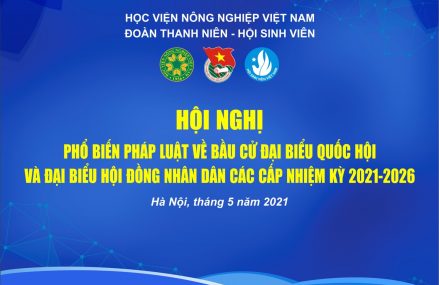 Tọa đàm bầu cử đại biểu Quốc hội và đại biểu Hội đồng nhân dân các cấp “Cử tri trẻ – Lá phiếu trách nhiệm”