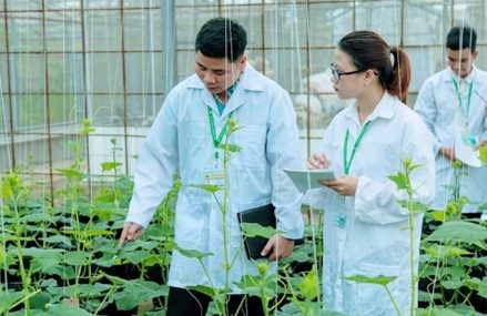 Hàng loạt sản phẩm giống cây trồng, vật nuôi, thuốc…được các nhà khoa học Học viện Nông nghiệp Việt Nam đưa vào ứng dụng
