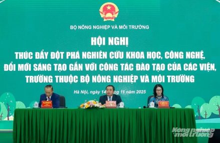 Bộ trưởng Trần Đức Thắng: Thúc đẩy đột phá khoa học – công nghệ toàn ngành