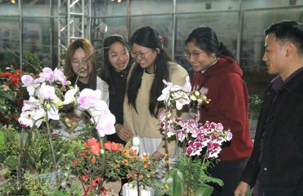 Đưa nông sản Việt vào không gian số