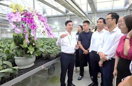 Khảo sát xây dựng chương trình giáo dục trải nghiệm, STEM và hướng nghiệp