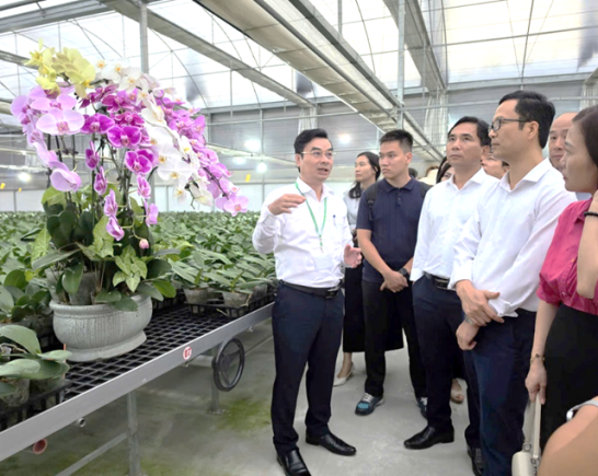 Khảo sát xây dựng chương trình giáo dục trải nghiệm, STEM và hướng nghiệp